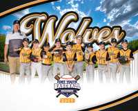 8X10 Wolves Coaches Team