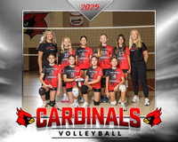 STP LM Volleyball B Team Breunig