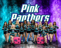 8x10 Pink Panthers Team
