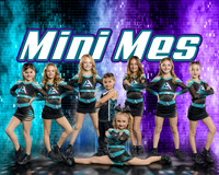 8x10 Mini Mes Team