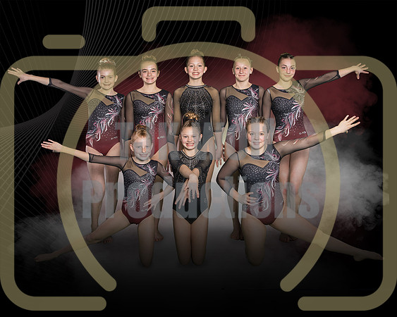 8x10 CSA Optional Team copy