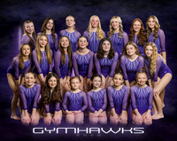 2026-GYMHAWKS