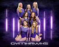Platinum Team_2