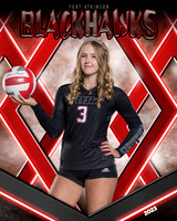 Andi Spies banner-2_3