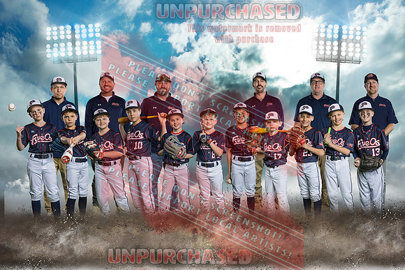 4x6 U10 Navy Fox Team