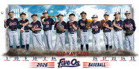10X20 U10 NAVY FOX TEAM