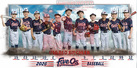 10X20 U10 Red Biechler Team