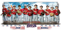 10X20 U9 Red Littleton Banner