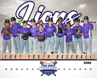 FYB Lions 2026