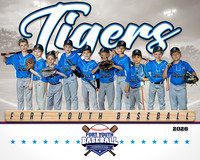 8x10 Tigers Team