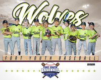 8X10 Wolves Team