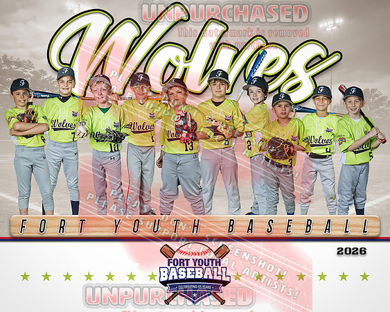 8X10 Wolves Team