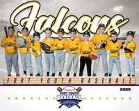 8x10 Falcons Team