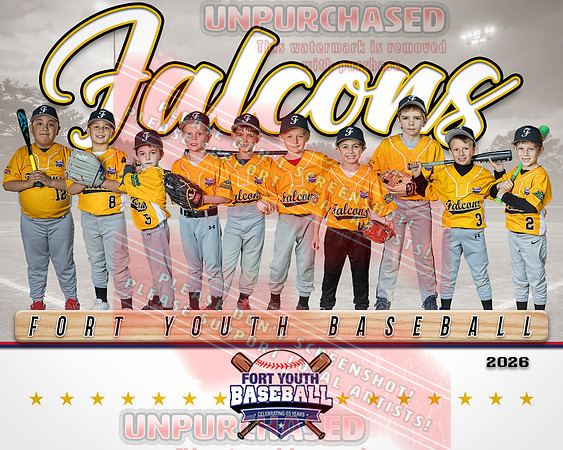 8x10 Falcons Team