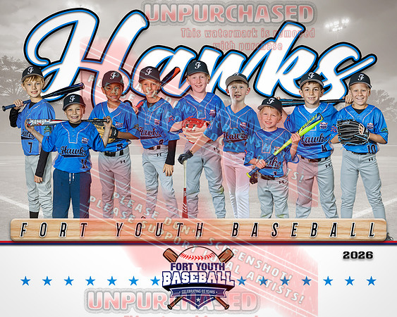 8x10 Hawks team