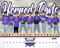 8x10 Horned Owls team