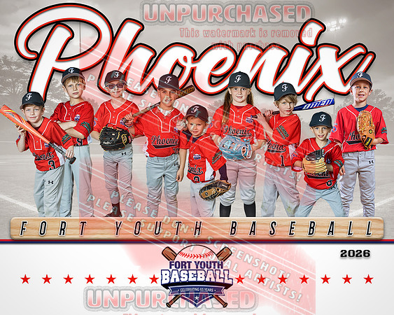 8x10 Phoenix team