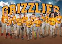 5X7 GRIZZLES TEAM