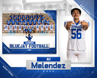 Ali Melendez banner top