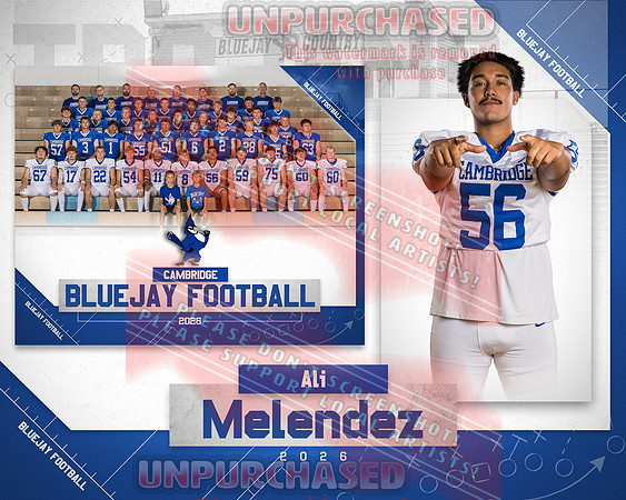 Ali Melendez banner top