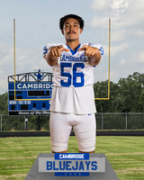 Ali Melendez banner top_2