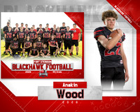 Anakin Wood_4