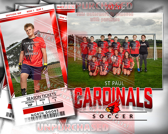 LM Soccer-7-brown