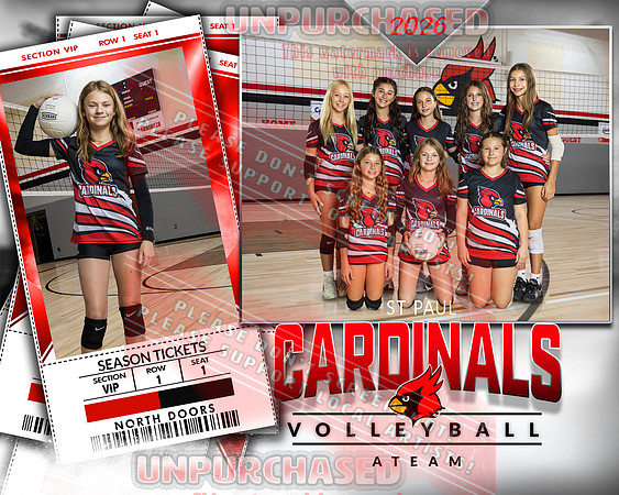 IND A1 Volleyball-23_2