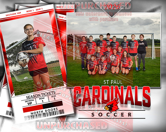 IND Soccer-32-brown