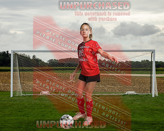 IND Soccer-31-brown_2