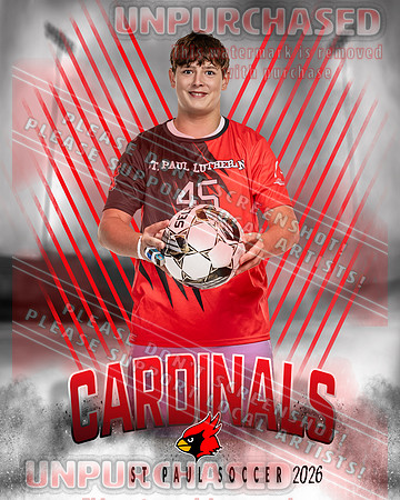 LM Soccer-3-brown_3