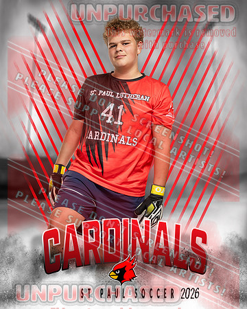 LM Soccer-7-brown_3
