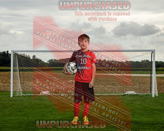 IND Soccer-26-brown_2