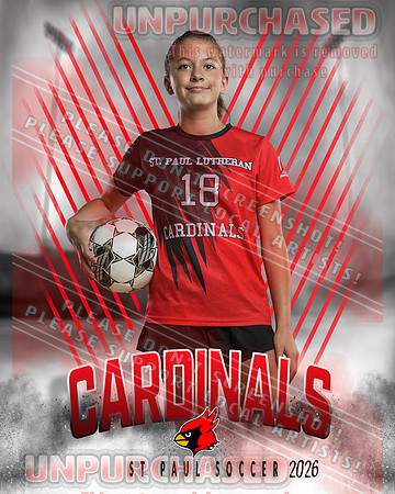 IND Soccer-30-brown_4