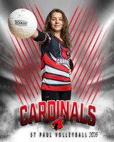 IND A2 Volleyball-2_2