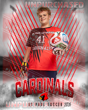 LM Soccer-5-brown_3