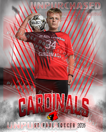 IND Soccer-5-brown_3