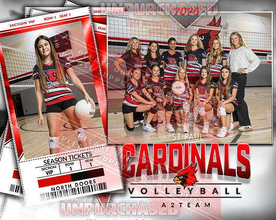 IND A2 Volleyball-20_3