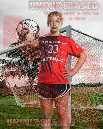 IND Soccer-9-brown