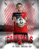 IND Soccer-4-brown_3