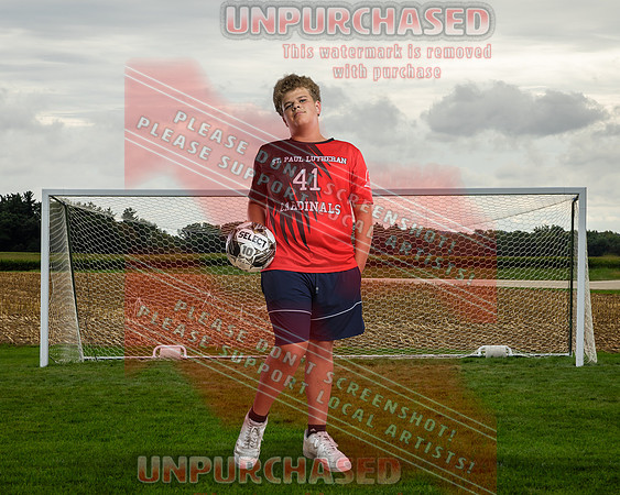 IND Soccer-2-brown_2