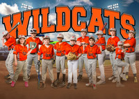 5x7 Wildcats team