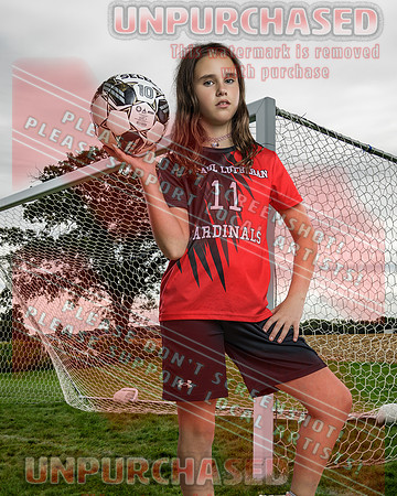 IND Soccer-7-brown