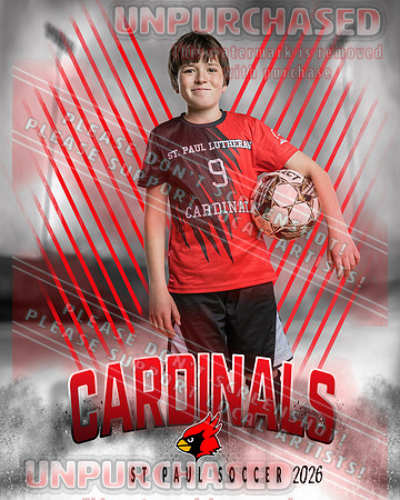 IND Soccer-41-brown_3