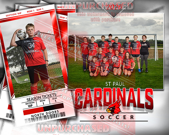 IND Soccer-5-brown