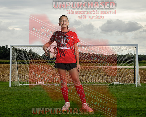 IND Soccer-30-brown_2