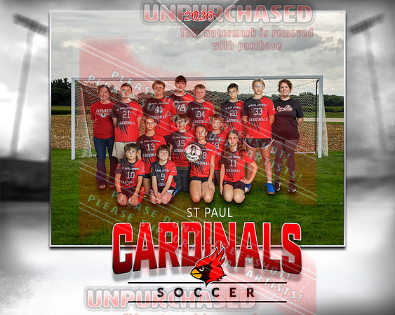 8x10 STP Soccer Team