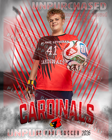 LM Soccer-5_3