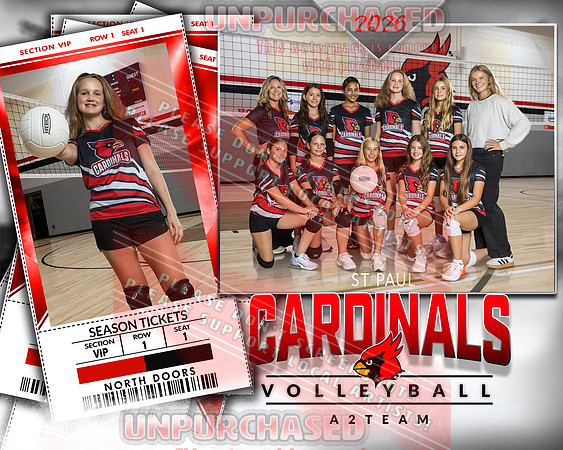 IND A2 Volleyball-28_3