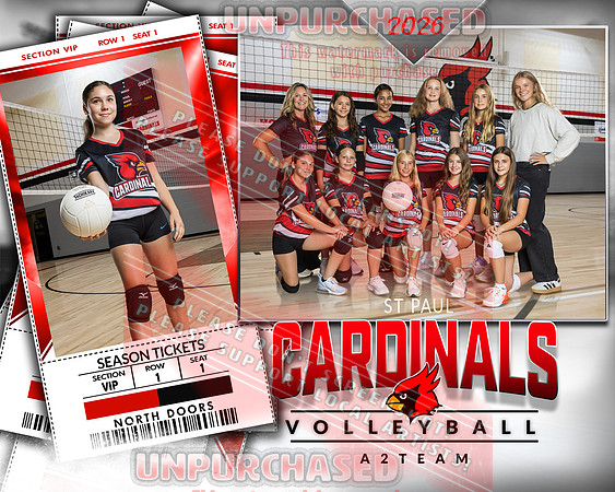 IND A2 Volleyball-6_3